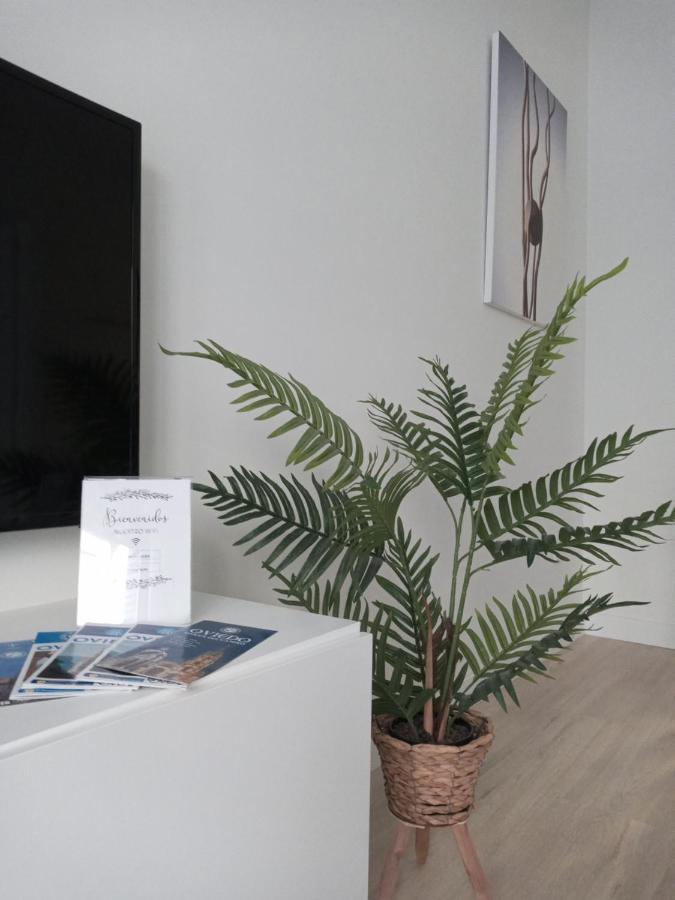 奥维耶多La Terraza De La Vega - Ubicacion Inmejorable , Wifi , Terraza Y Parking Gratuito公寓 外观 照片